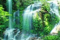 air-terjun-sungai-talang air terjun sungai talang